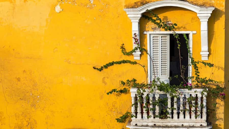 Cartagena Instagram Mobile Workshop: Scenic and Trendy Shots - What the $75 price buys you