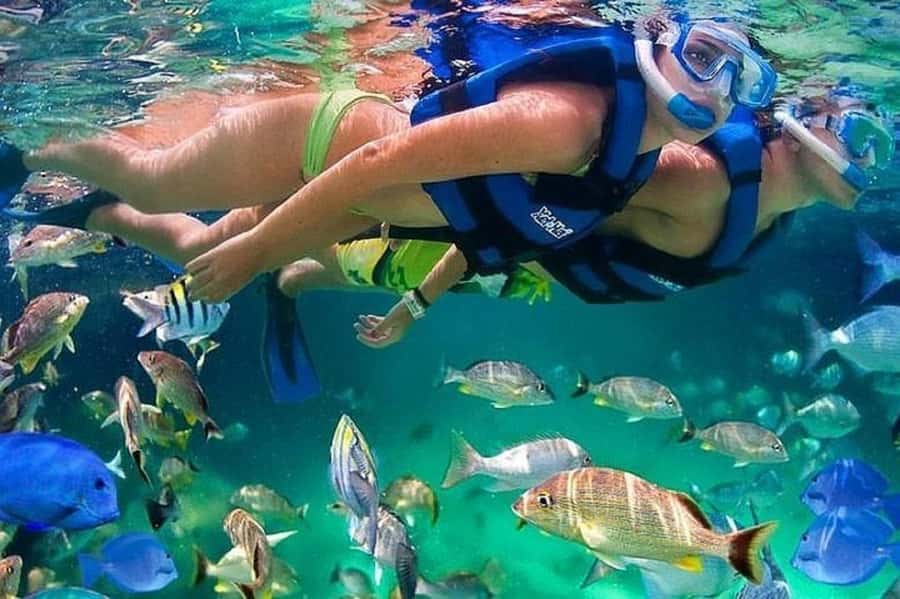 Cartagena: Raccoon Island Snorkel, Mangrove, Photos & Lunch - Key points to know before booking