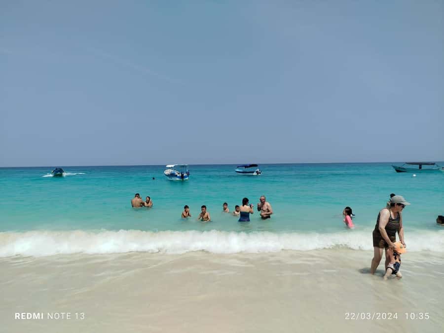 Cartagena: Raccoon Island Snorkel, Mangrove, Photos & Lunch - Group size and guide communication can shape the whole day