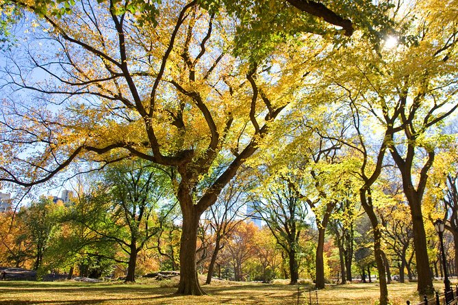 Central Park Photography Tour with Local Photographer - Bethesda Fountain and Bethesda Terrace