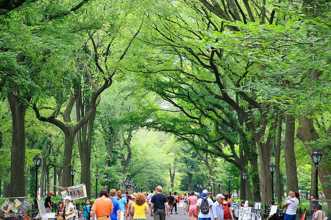 Central Park Photography Tour with Local Photographer - Who will get the most from this experience