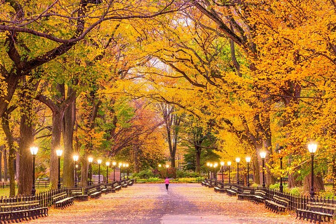Central Park Private Photoshoot Tour with Pro NYC Guide - Key points to know before booking