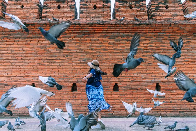 ️ Chiang Mai Instagram Tour: Most Famous Spots (Private and All-Inclusive) - The old city temples fill out the cultural picture