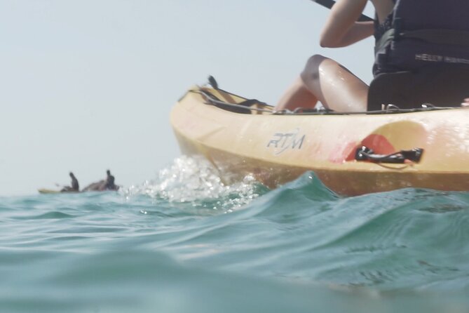 Costa Brava: Kayak, Snorkel, Photos, Lunch, Beach & Cliff Jump! - Lunch, water, and the honest food warning