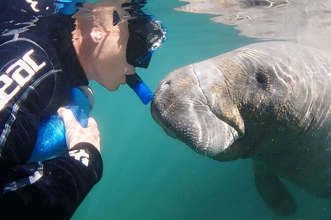 Crystal River: Private Manatee Swim With Heated Boat(Free Photos) - Preparing for the water with included gear