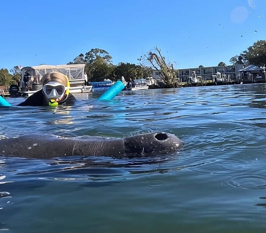 Crystal River: Swim with Manatees Private Tour Free Photos - The three-hour route into Crystal River