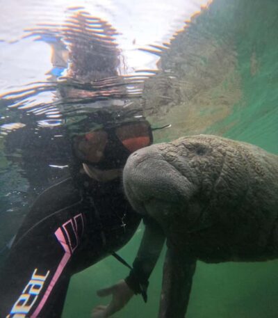 Swim with Manatees Private Tour Free Photos