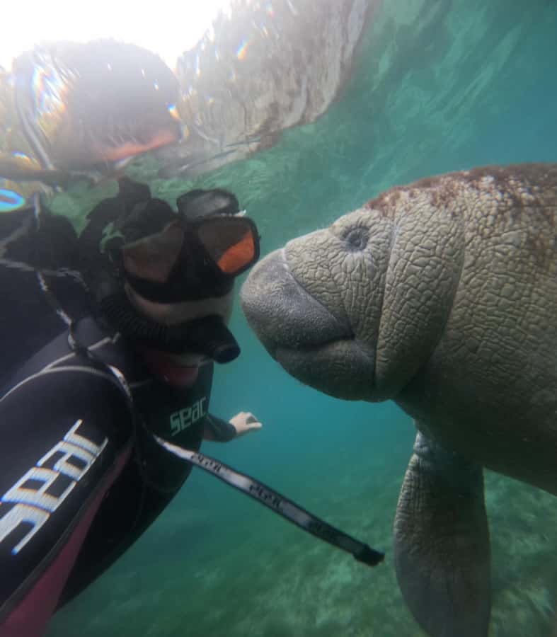 Crystal River: Swim with Manatees Private Tour Free Photos - The treasure chest hunt for children