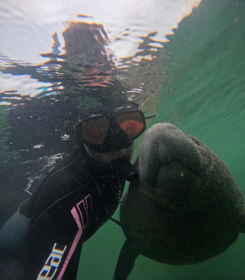 Crystal River: Swim with Manatees Private Tour Free Photos - Who will enjoy this Crystal River tour most?