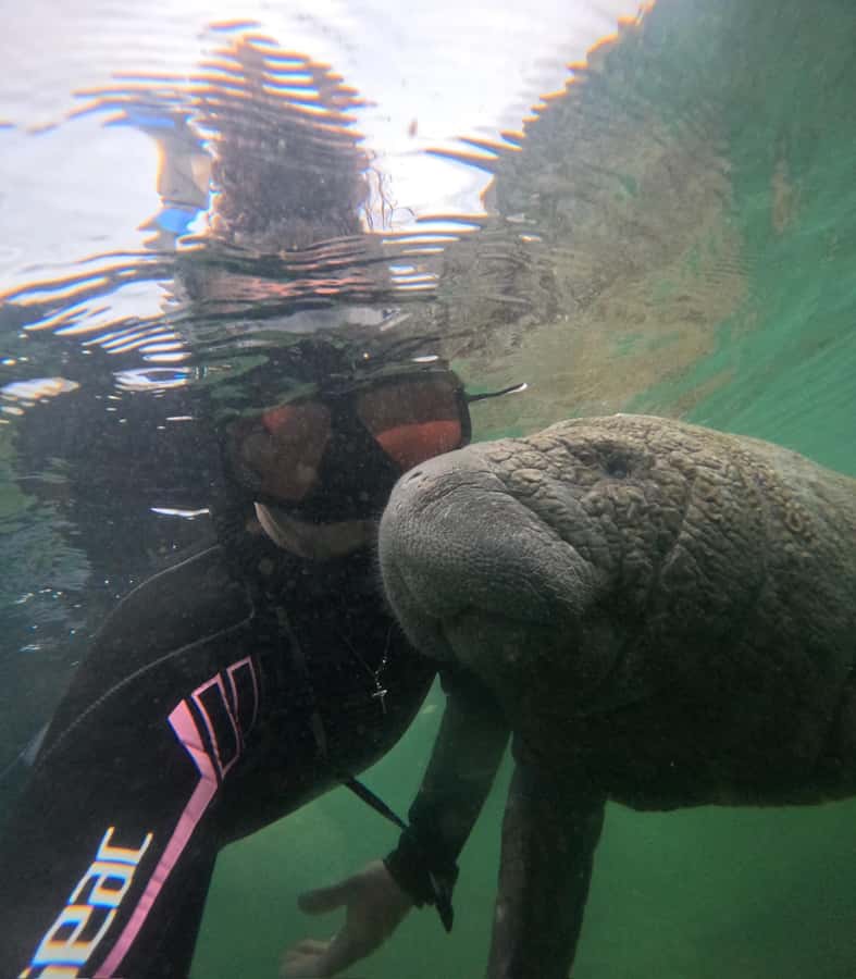 Crystal River: Swim with Manatees Private Tour Free Photos - Meeting at Pete’s Pier Marina