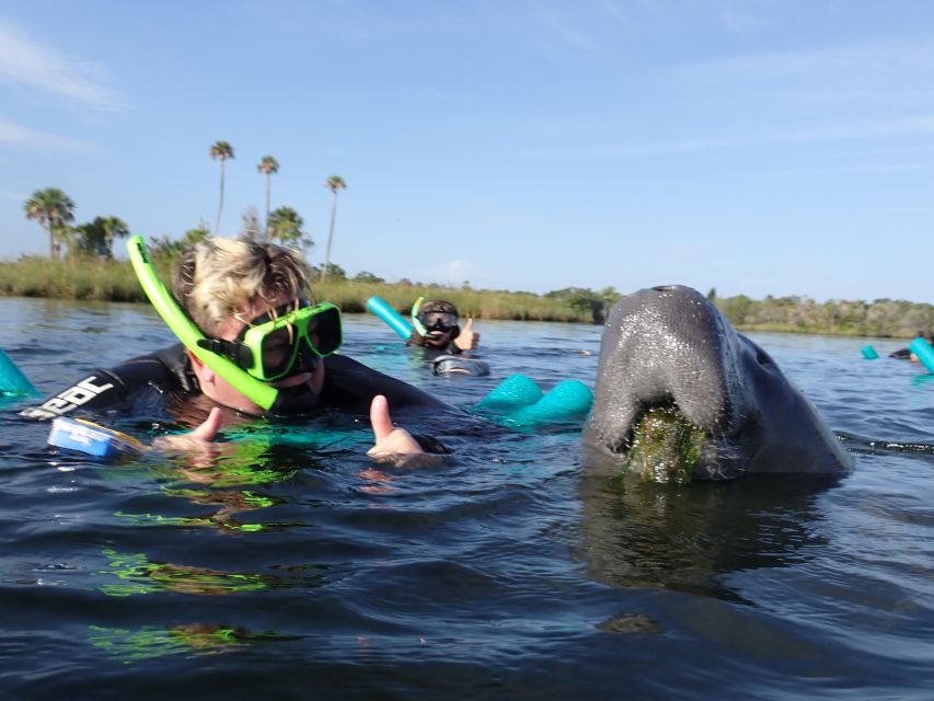 Crystal River: VIP Manatee Swim w/ In-water Photographer - Timing matters more than most people expect