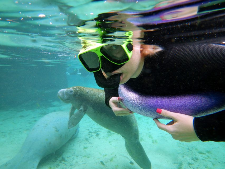 Crystal River: VIP Manatee Swim w/ In-water Photographer - The first lesson makes the swim better