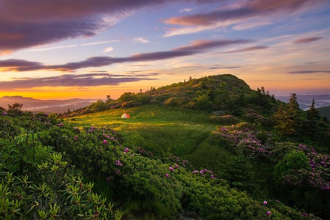 Custom Half-Day Photo Tour with Photography Lessons from Asheville - Weather, fog, and the value of a flexible plan