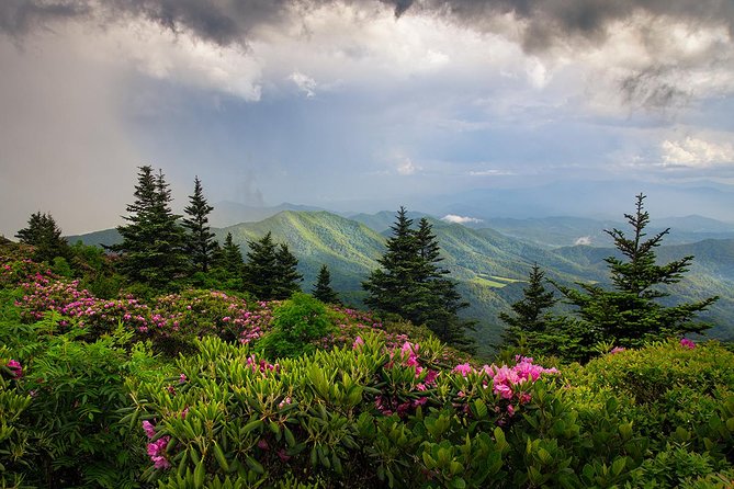 Custom Half-Day Photo Tour with Photography Lessons from Asheville - Who will get the most from this outing?