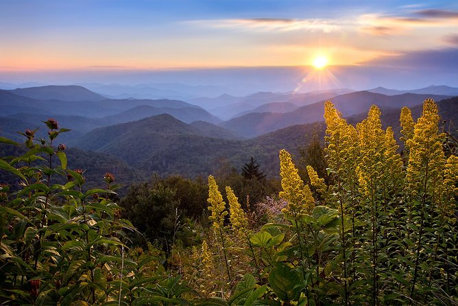 Custom Half-Day Photo Tour with Photography Lessons from Asheville - Photography lessons for beginners and experienced shooters