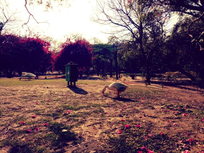 Delhi: Heritage Photography Tour - Is $14 good value?
