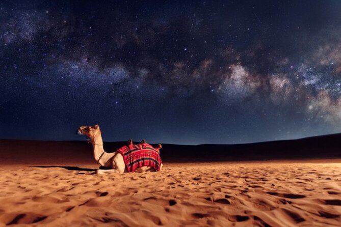 Doha Night Desert Safari, Stargazing, Photography، Relaxation - Sandboarding for a short burst of fun
