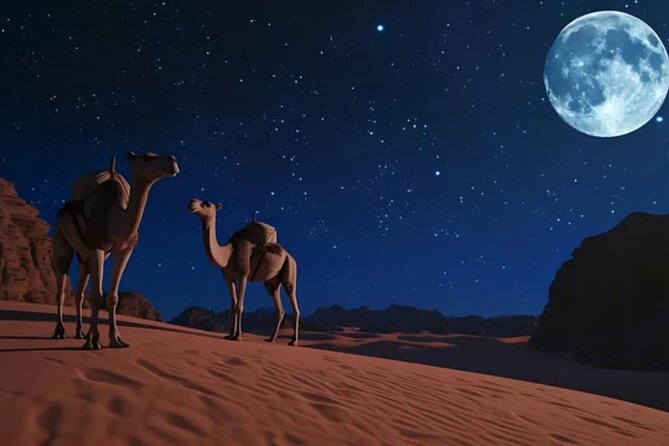 Doha Night Desert Safari, Stargazing, Photography، Relaxation - What the $77.50 price covers