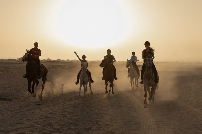 Dubai Desert Horseback Safari with Photoshoot - Key points before you book