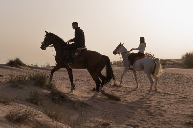 Dubai Desert Horseback Safari with Photoshoot - Starting at JSR Equestrian Club in Al Rowaiyah