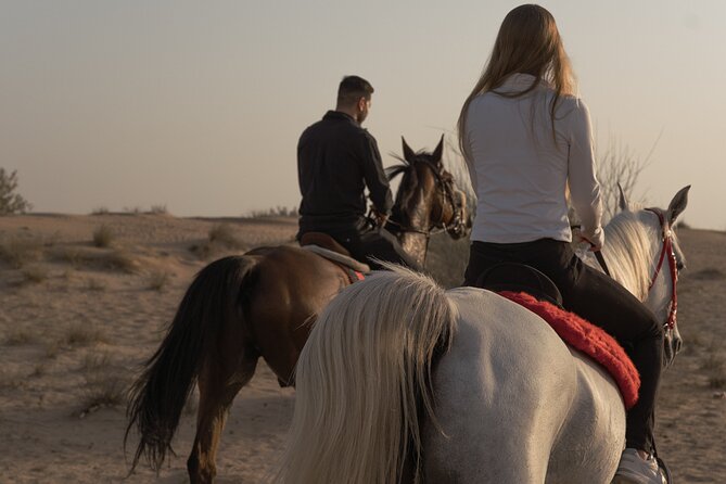 Dubai Desert Horseback Safari with Photoshoot - What to bring and what to confirm