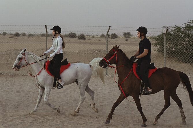 Dubai Desert Horseback Safari with Photoshoot - Meeting the horses before the ride