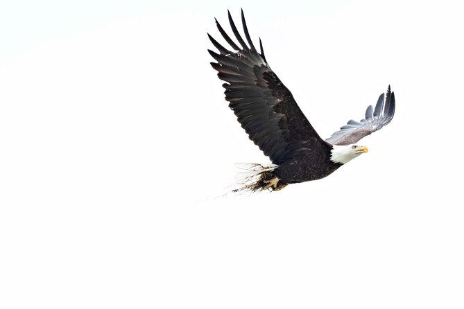 Exclusive Photography Tour Haines Departure - Chilkoot Lake State Recreation Area and the bigger view