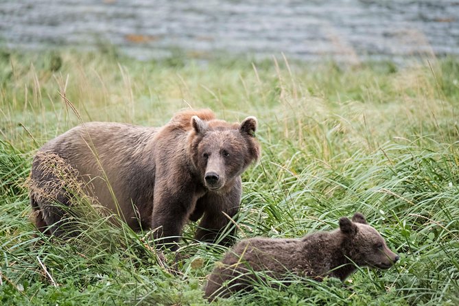 Exclusive Photography Tour Haines Departure - Who should book this experience?