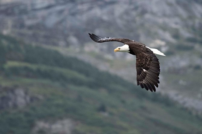 Exclusive Photography Tour Haines Departure - Booking advice for the best fit