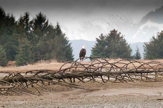Exclusive Photography Tour Haines Departure - What the photography instruction is really like