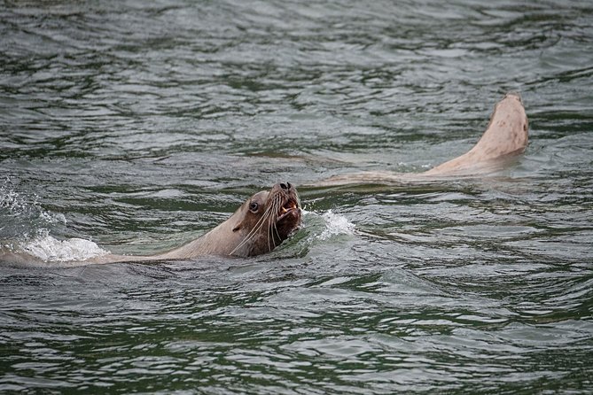 Exclusive Photography Tour to Haines - Skagway Departure - What the photography instruction is really worth