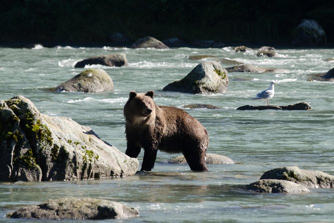 Exclusive Photography Tour to Haines - Skagway Departure - Chilkoot Lake State Recreation Area and the wider valley