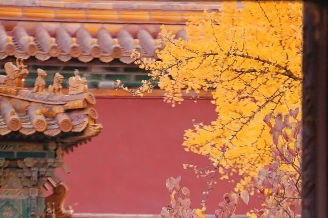 Explore Beijing with camera--City Walk tour with Professional photography guide - Bell and Drum Towers mark the northern edge