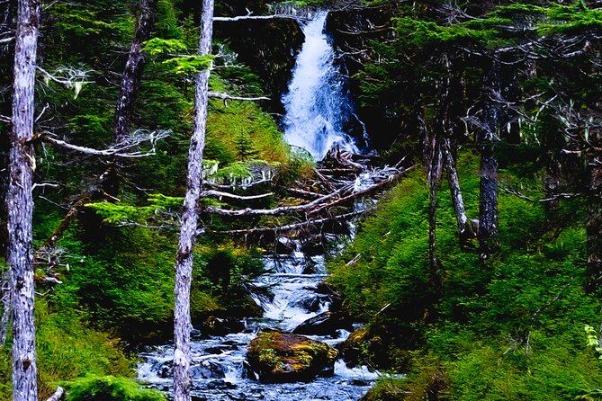Exquisite Wildlife & Wilderness Photo Tour Anchorage -Whittier - Why this Anchorage to Whittier route works so well