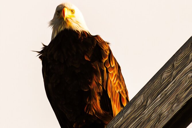 Exquisite Wildlife & Wilderness Photo Tour Anchorage -Whittier - Chugach State Park Headquarters and the old snowblower
