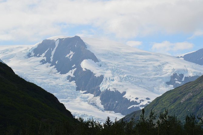 Exquisite Wildlife & Wilderness Photo Tour Anchorage -Whittier - Birdpoint for mountains and local birdlife