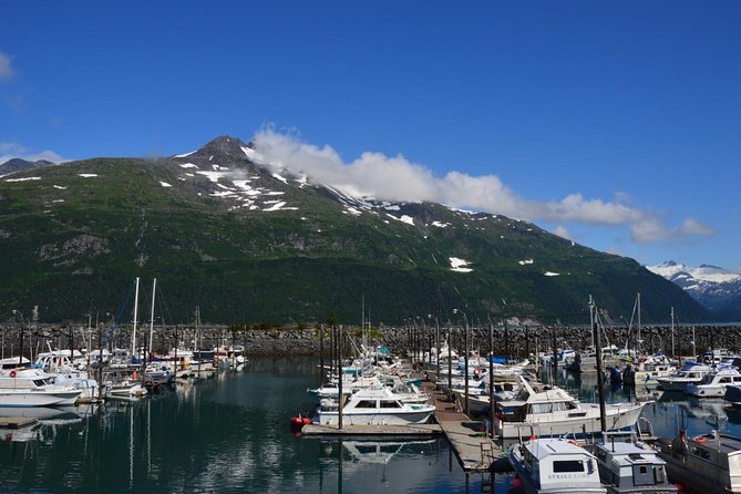 Exquisite Wildlife & Wilderness Photo Tour Anchorage -Whittier - Alaska Wildlife Conservation Center: the day’s best wildlife stop
