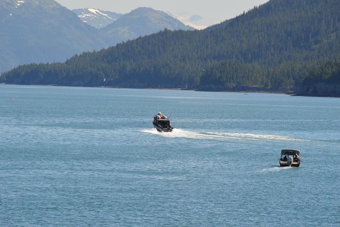 Exquisite Wildlife & Wilderness Photo Tour Anchorage -Whittier - Through the Anton Memorial Tunnel