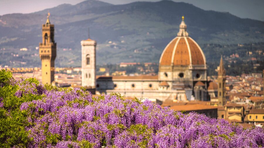Florence Premium E-Bike Tour + Photo Shoot and Tastings - San Niccolò and the river neighborhoods