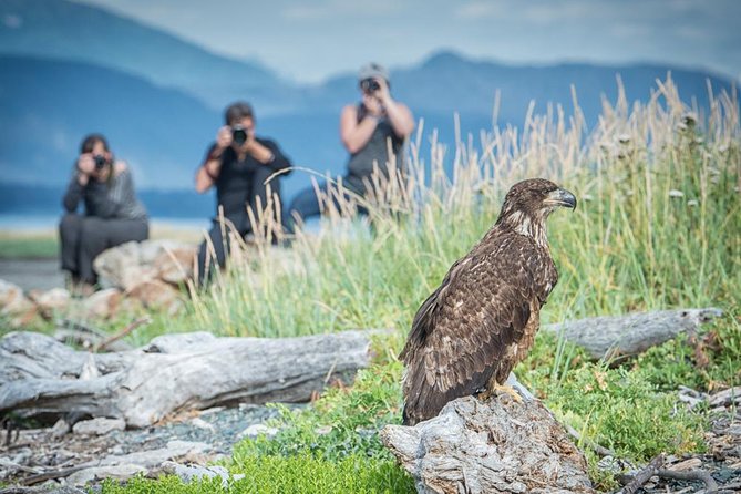 Focus on Haines Private Nature / Photography tour - The Chilkat River and eagle country