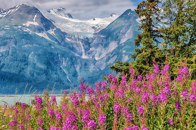 Focus on Haines Private Nature / Photography tour - Chilkat State Park and Rainbow Glacier
