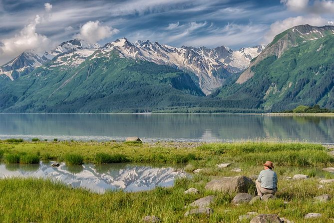 Focus on Haines Private Nature / Photography tour - The value of a four-hour private outing