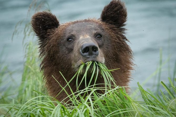 Focus on Haines Private Nature / Photography tour - Fort William H. Seward and Haines beginnings