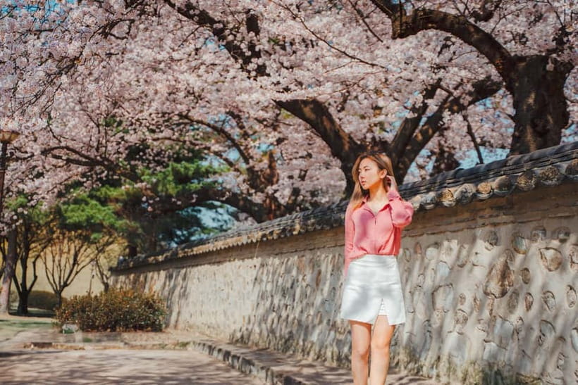 From Busan: Gyeongju Small Group Photo Tour & Hotel Pick-up - Gyeongbuk Millennium Forest Gardens in 30 minutes