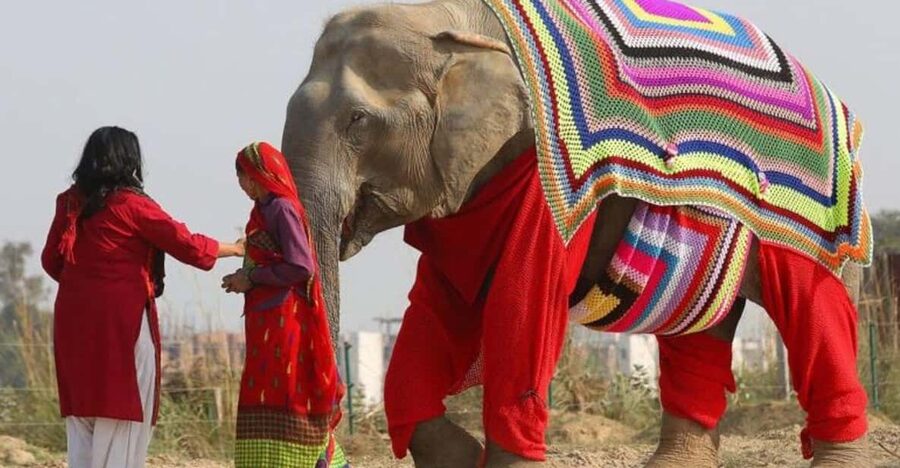 From Delhi: Taj Mahal with Photographer & Elephant SOS Tour - The long road from Delhi to Agra