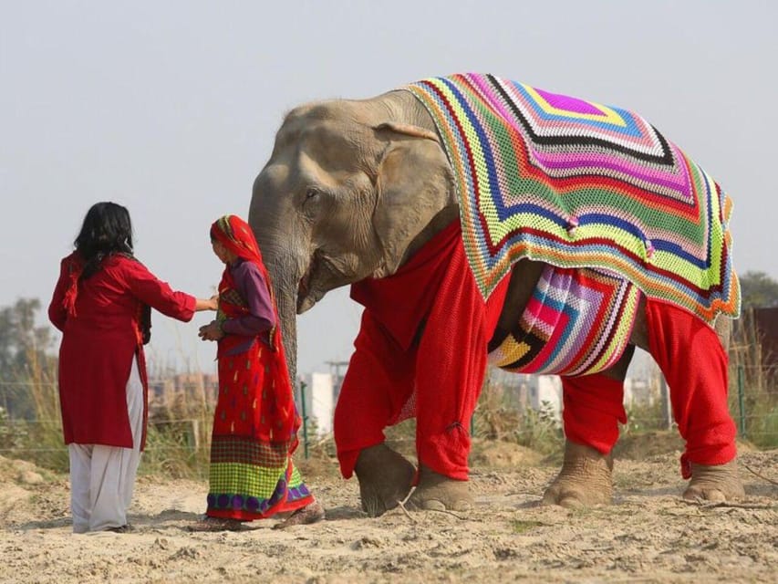From Delhi: Taj Mahal with Photographer & Elephant SOS Tour - Agra Fort, Akbar’s red sandstone stronghold