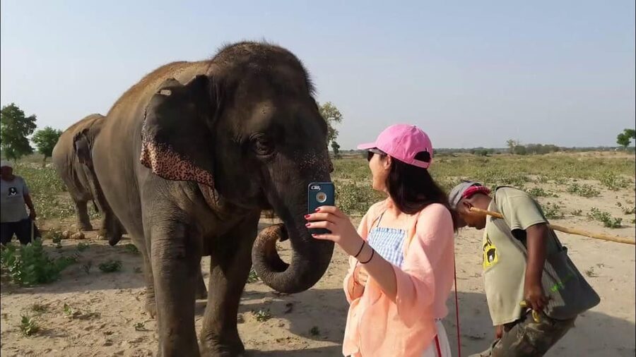 From Delhi: Taj Mahal with Photographer & Elephant SOS Tour - Who will enjoy this Agra day trip