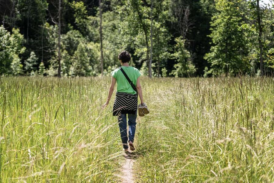 From Riga: Explore Latvian Nature With a Local Photographer - Key points to know before booking