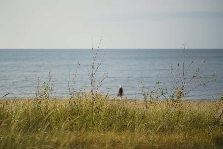 From Riga: Explore Latvian Nature With a Local Photographer - Walking through woods and open country