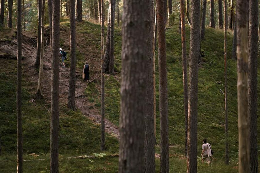 From Riga: Explore Latvian Nature With a Local Photographer - Seeing Latvia through a photographer’s eyes